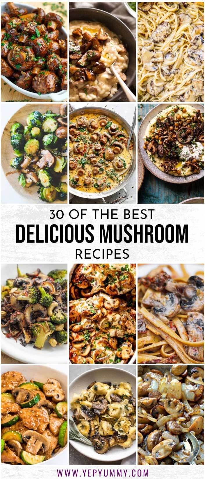 30 Of The Best Delicious Mushroom Recipes