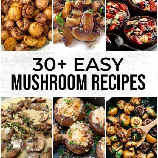30 Of The Best Delicious Mushroom Recipes