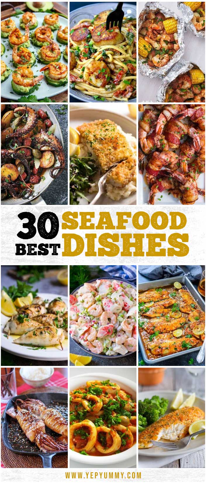 Collection of Best Delicious Seafood Dishes